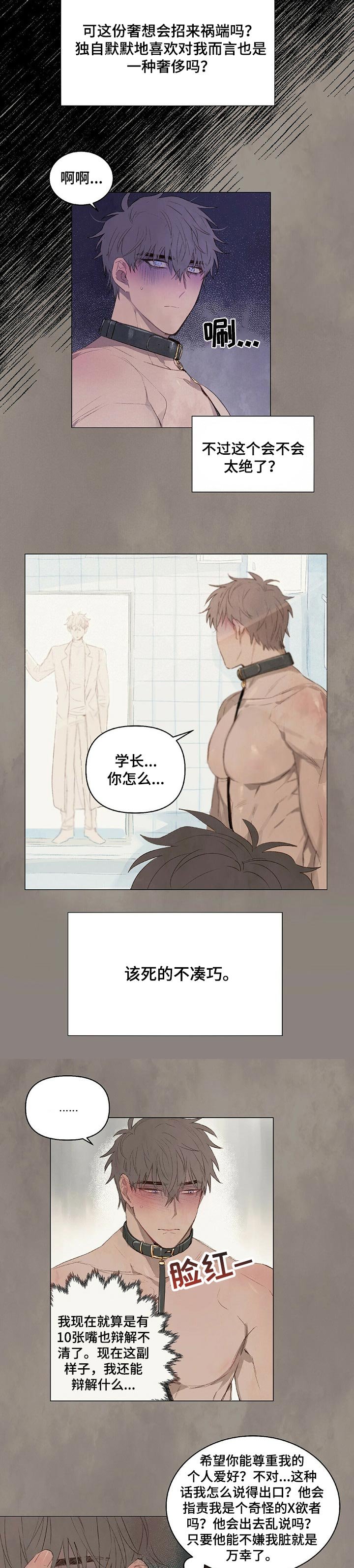 第20章：初恋