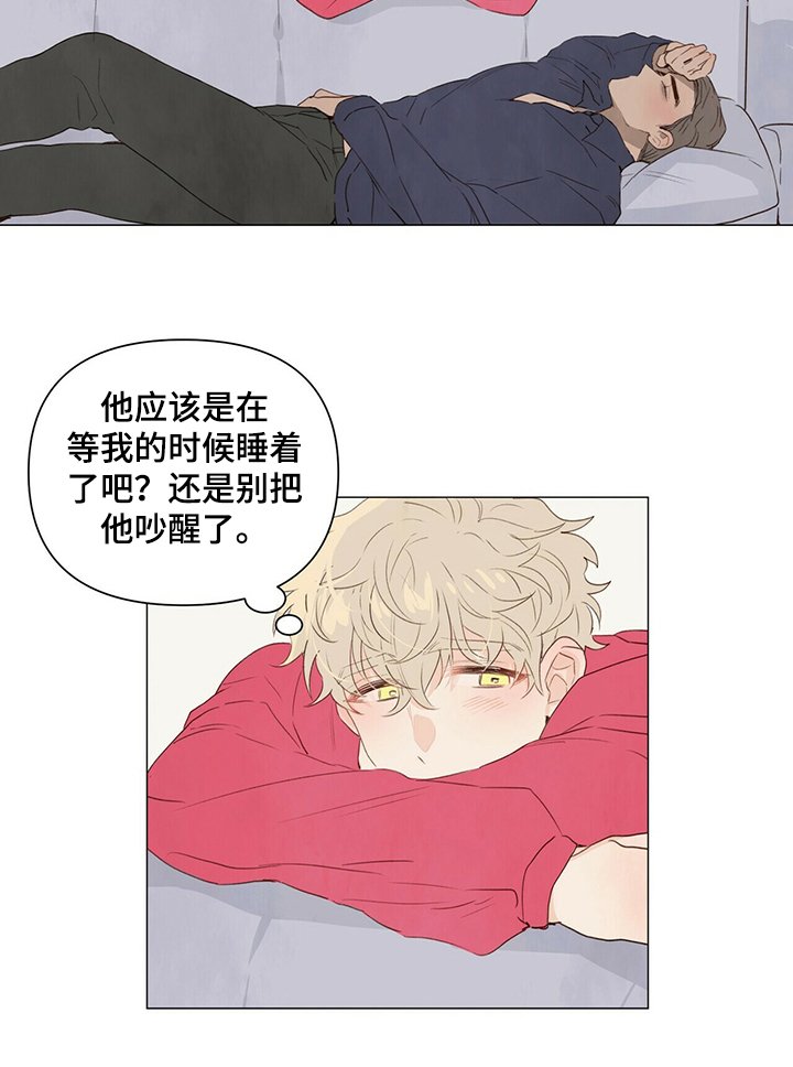 第30章：睡着了