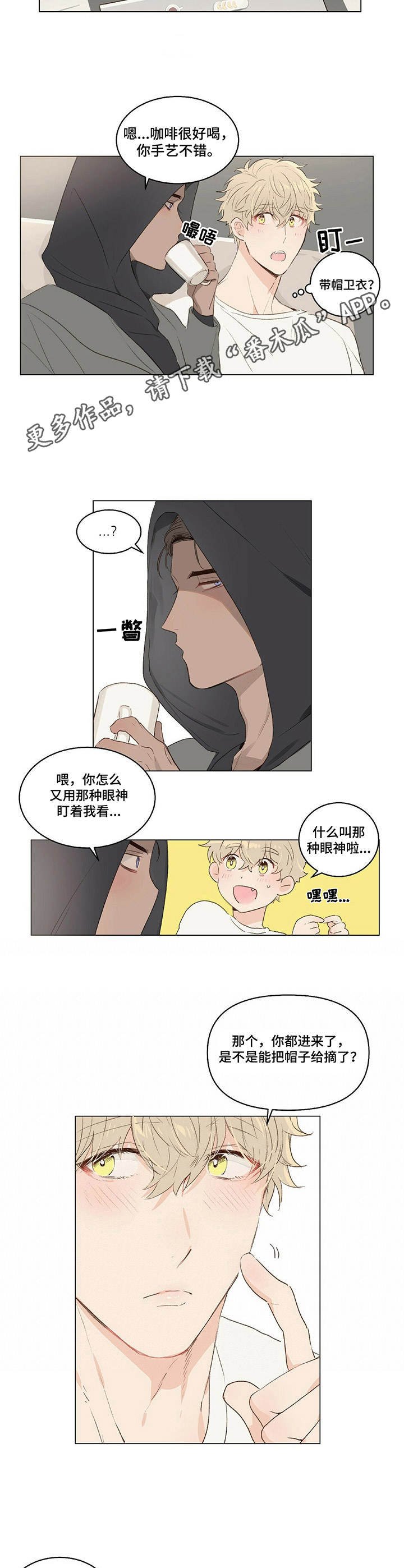第6章：耳朵