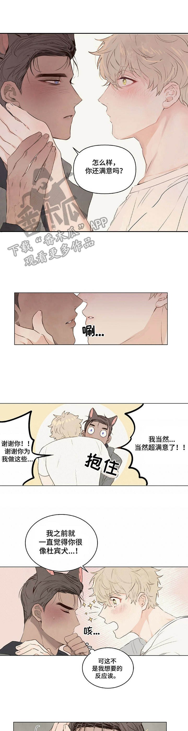 第6章：耳朵