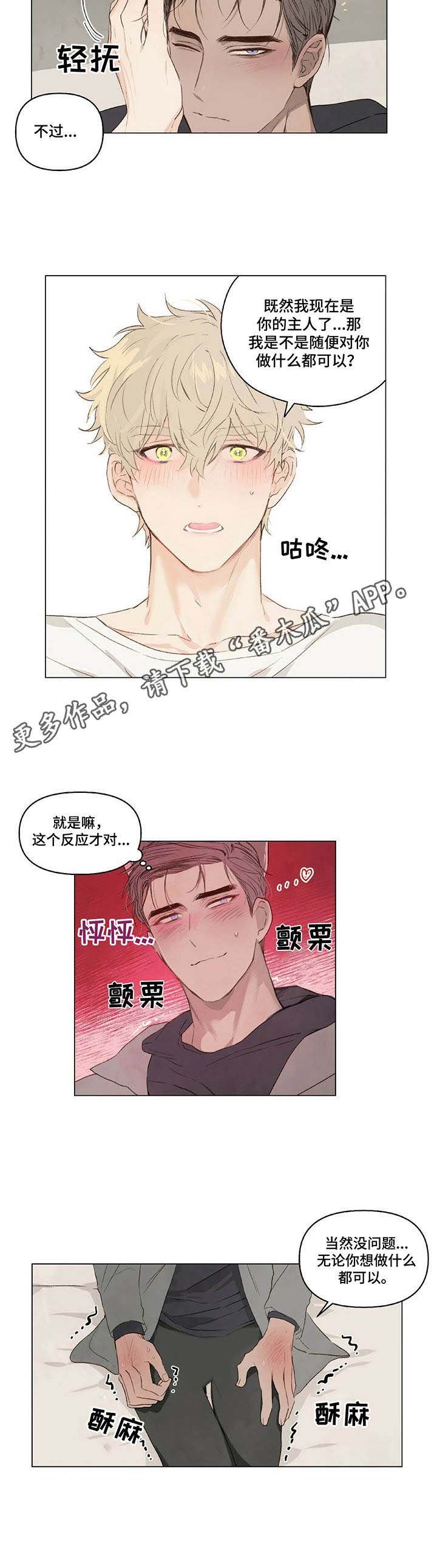 第6章：耳朵