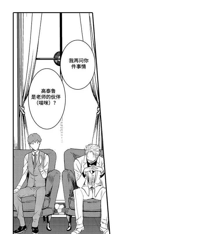 第11章：猫咪
