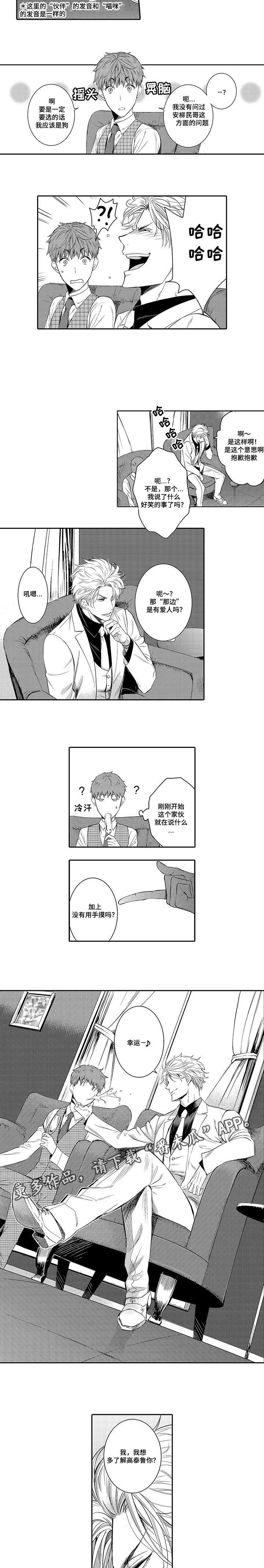 第11章：猫咪