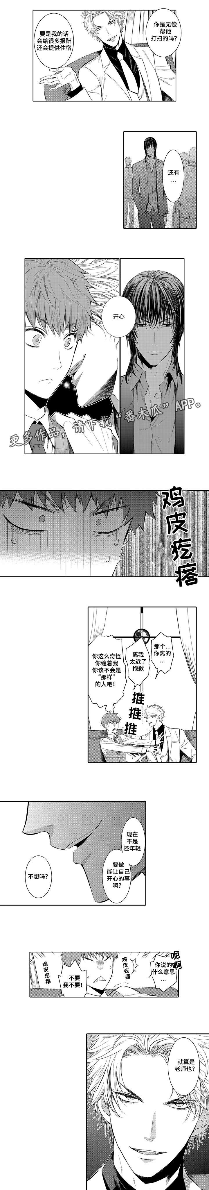 第11章：猫咪