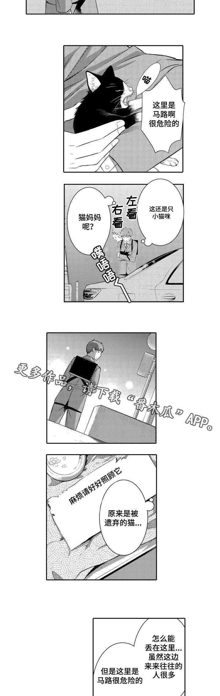 第55章：养猫
