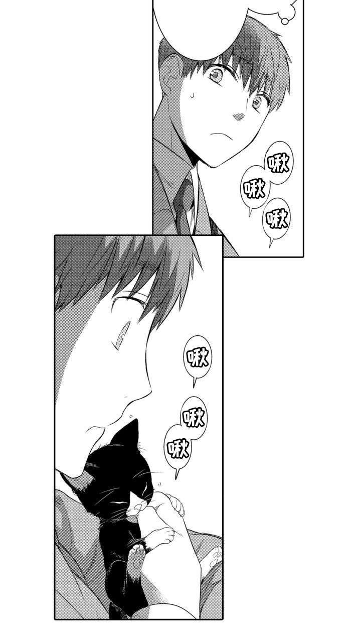 第55章：养猫