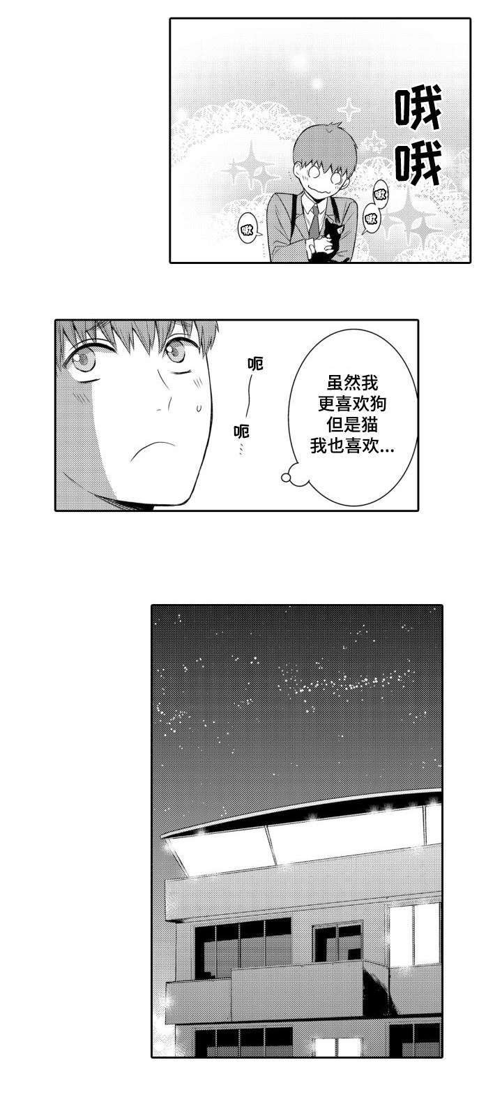 第55章：养猫