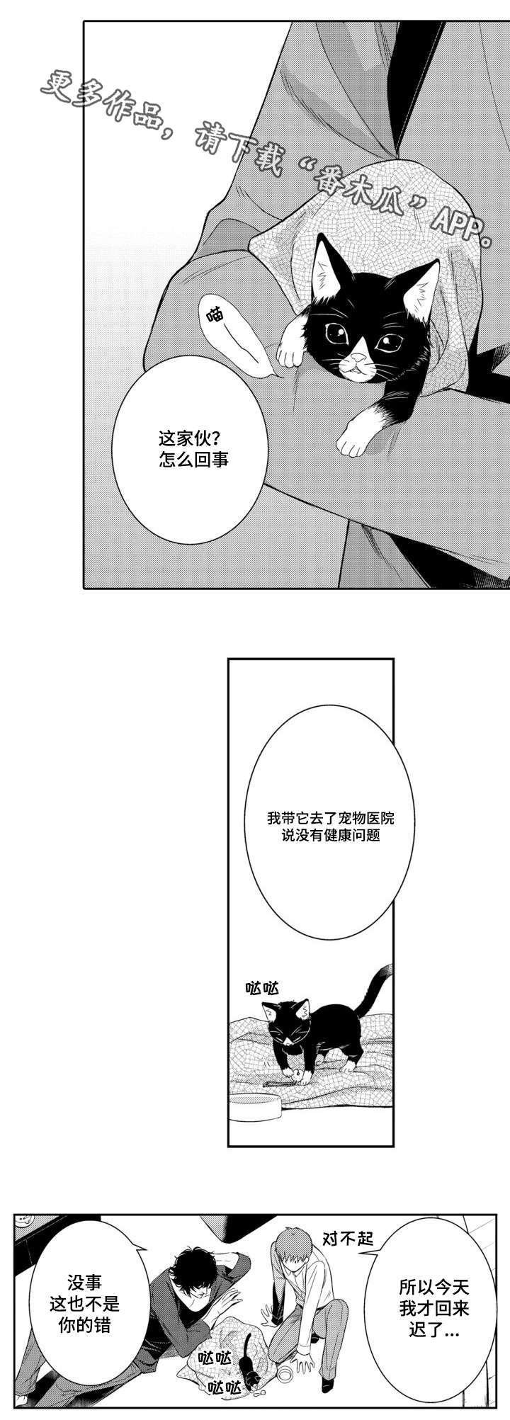 第55章：养猫