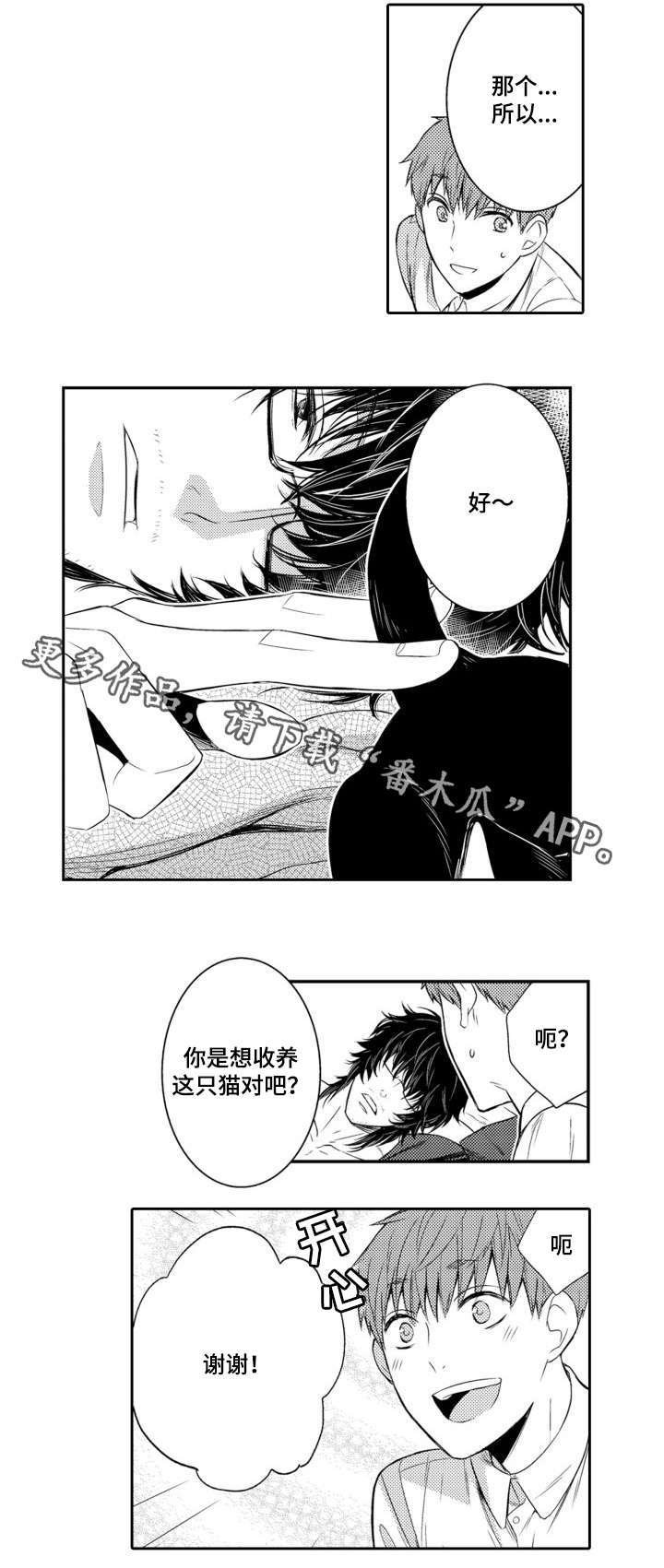 第55章：养猫