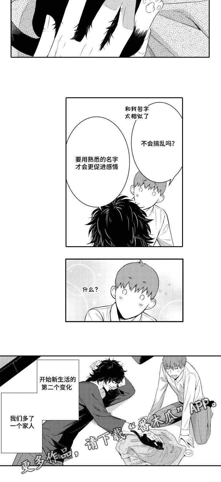 第55章：养猫