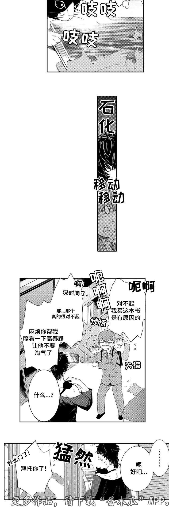 第56章：高泰路