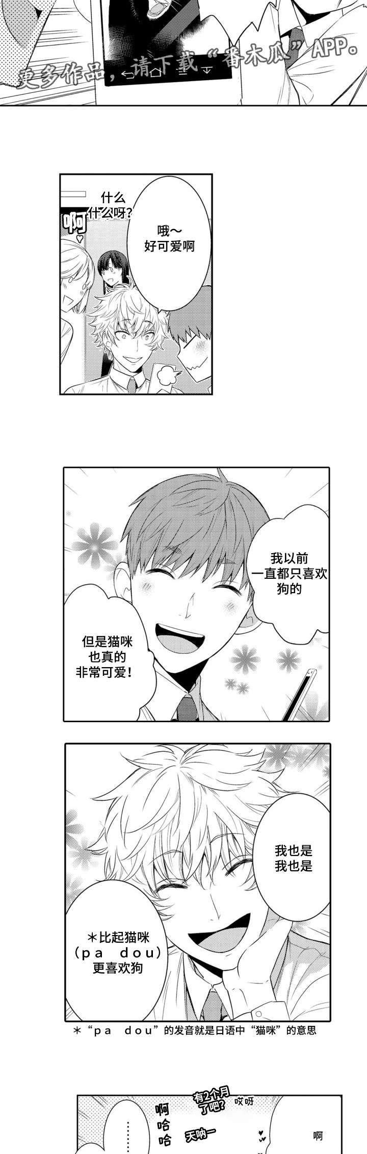 第56章：高泰路