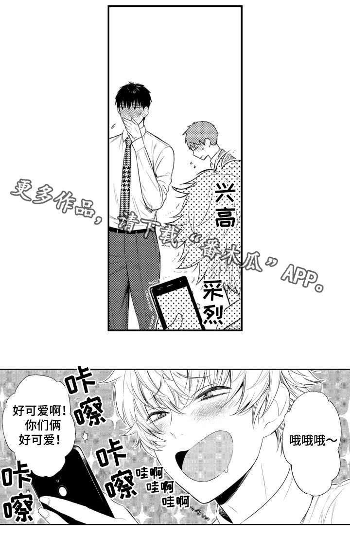 第61章：照片