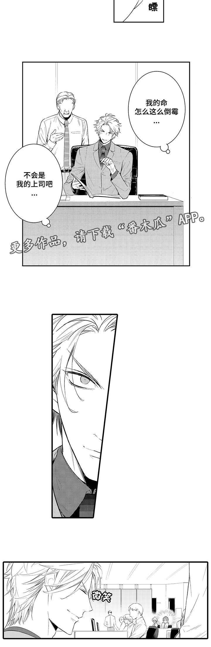 第63章：介绍公司