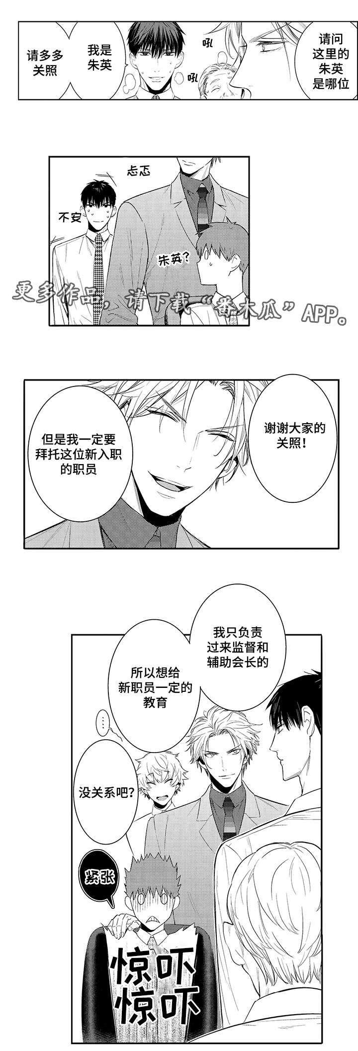 第63章：介绍公司