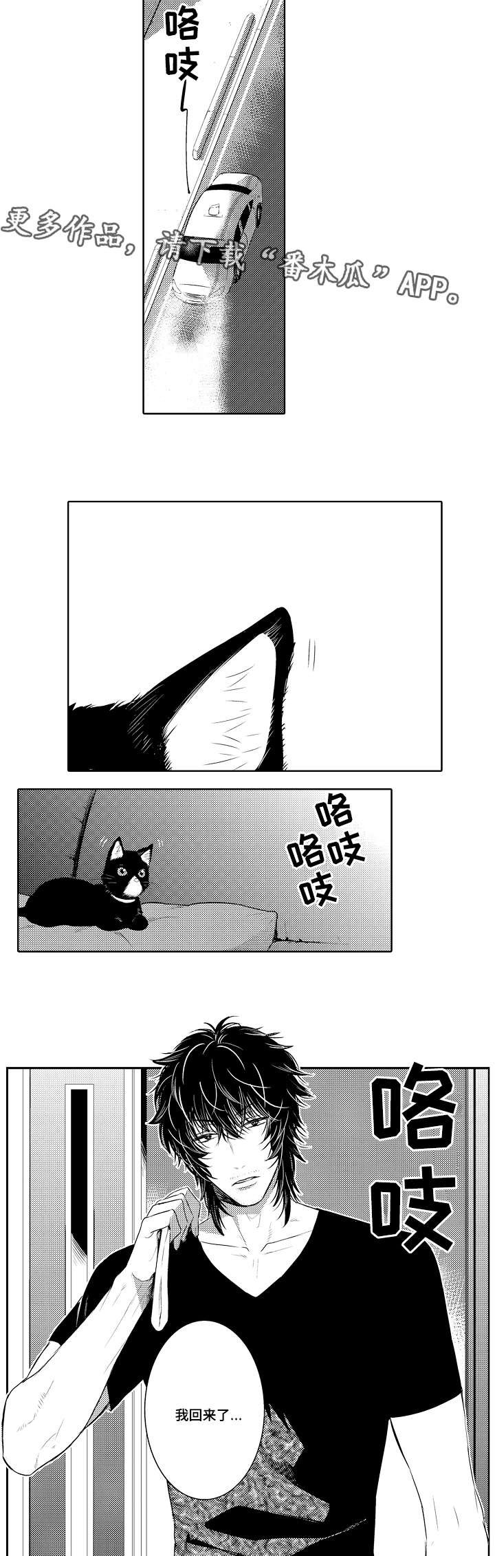 第81章：欢迎回家