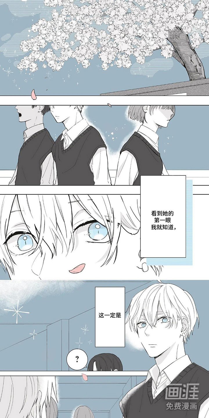 第1章：一定是命运