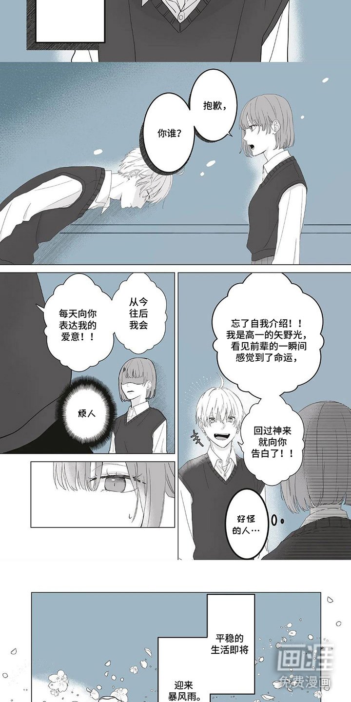 第1章：一定是命运