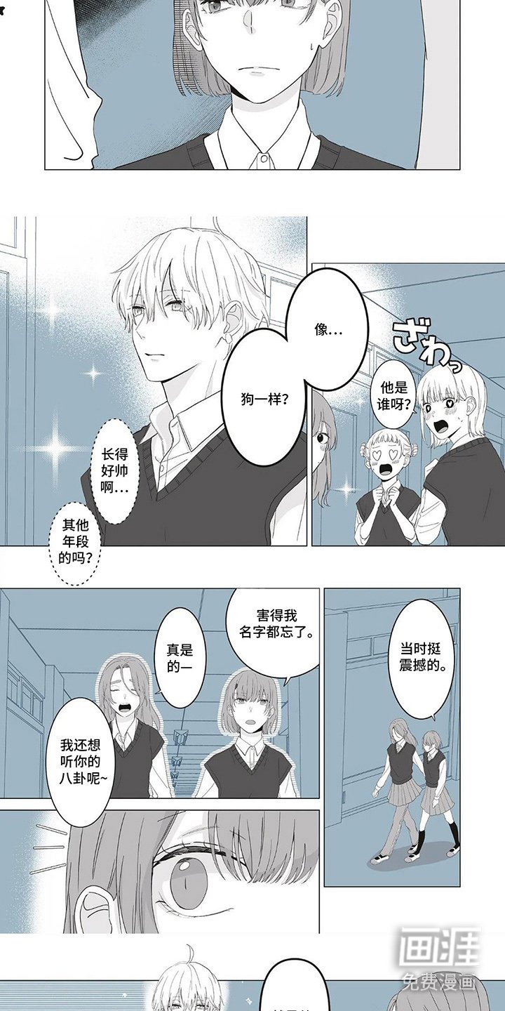 第1章：一定是命运