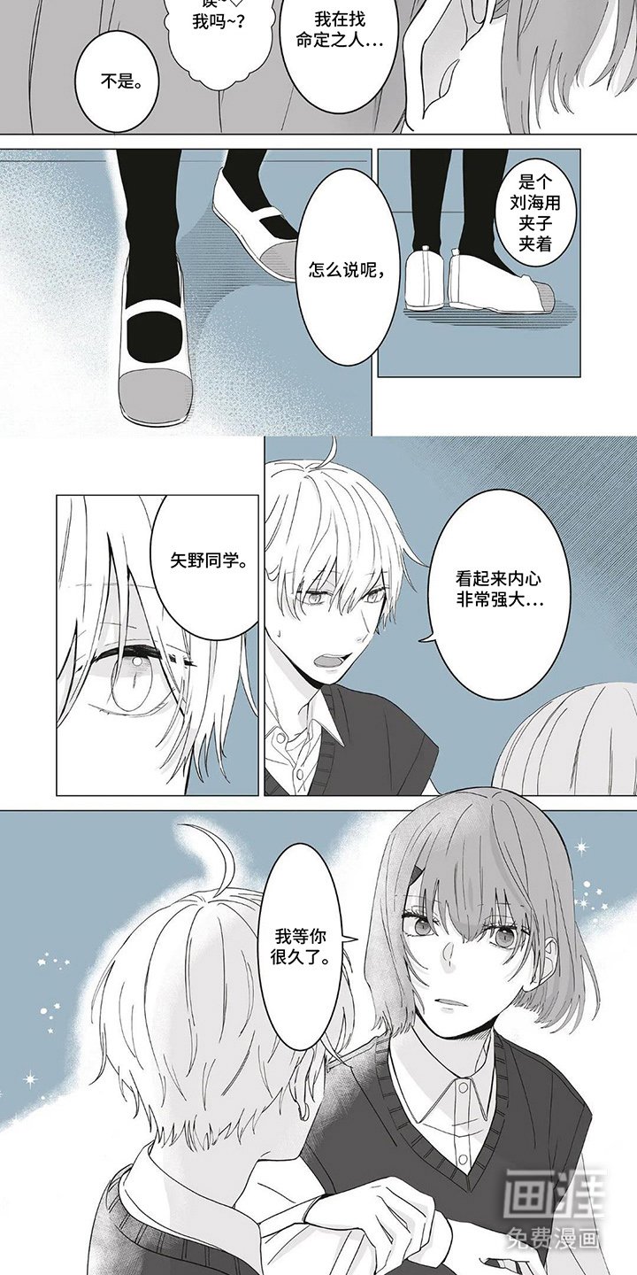 第1章：一定是命运