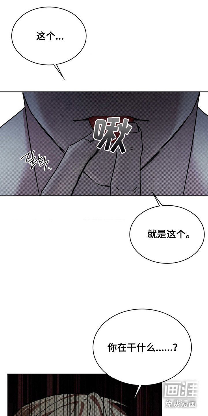 第11章：完美材料