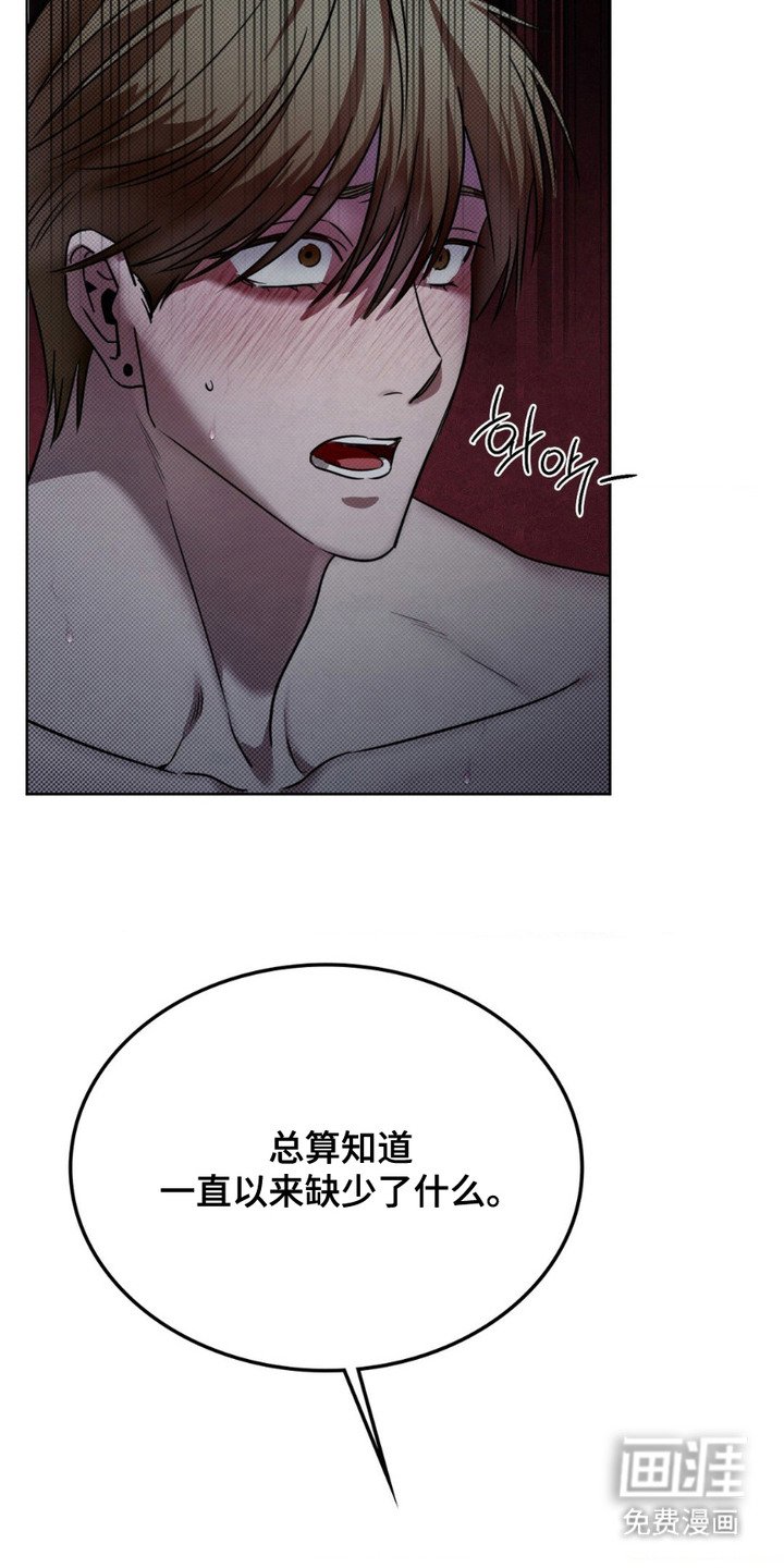 第11章：完美材料