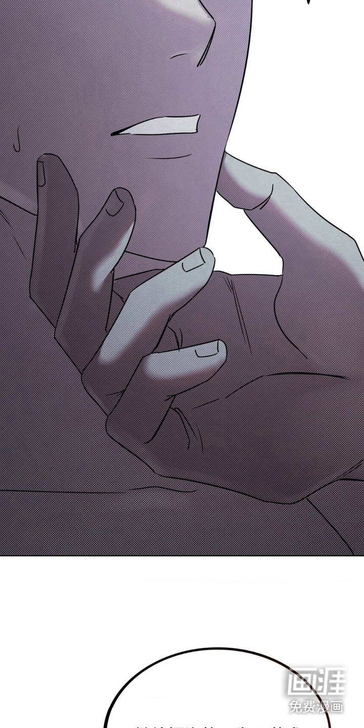第11章：完美材料