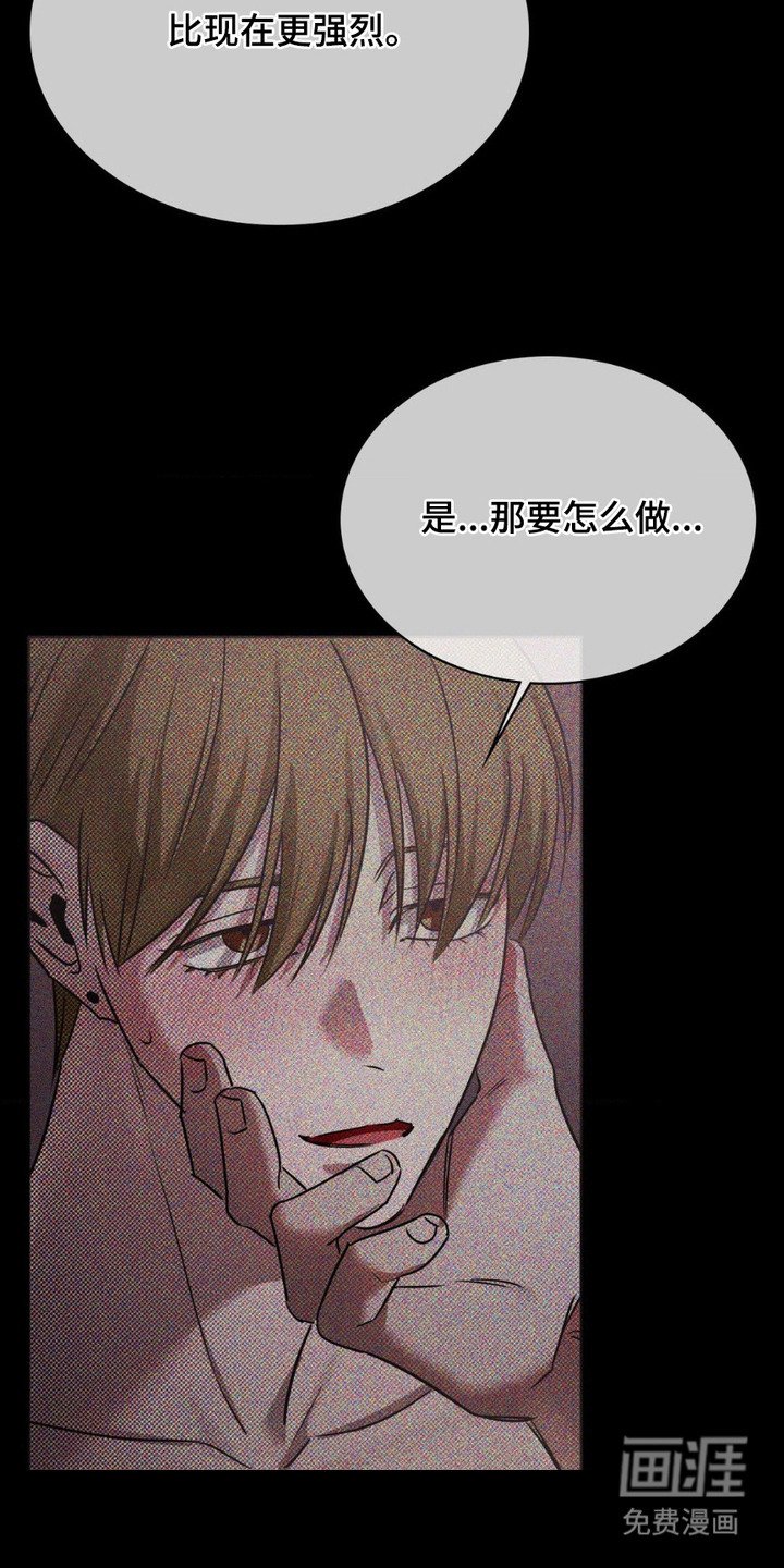 第11章：完美材料