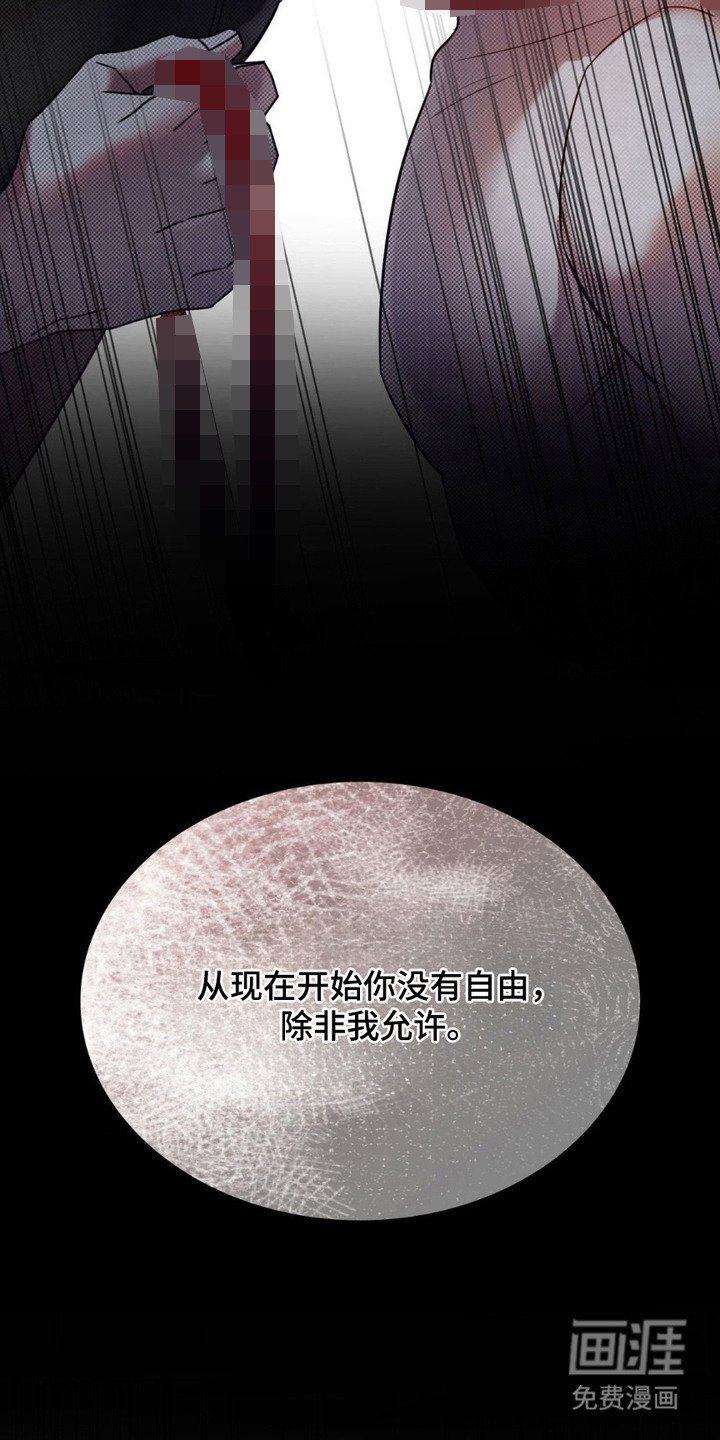 第16章：被束缚的自由
