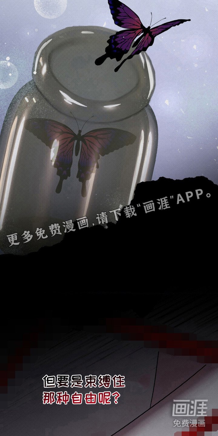 第16章：被束缚的自由