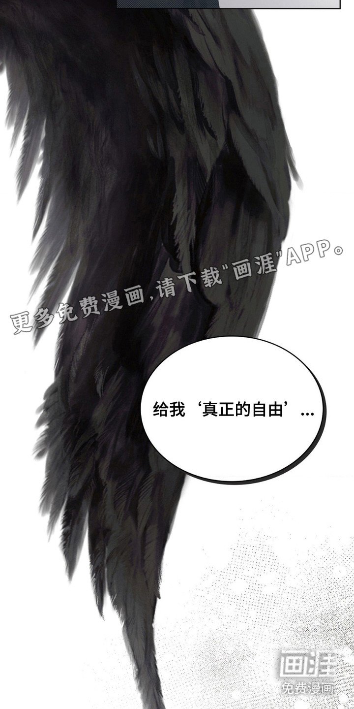第18章：剩下的一半