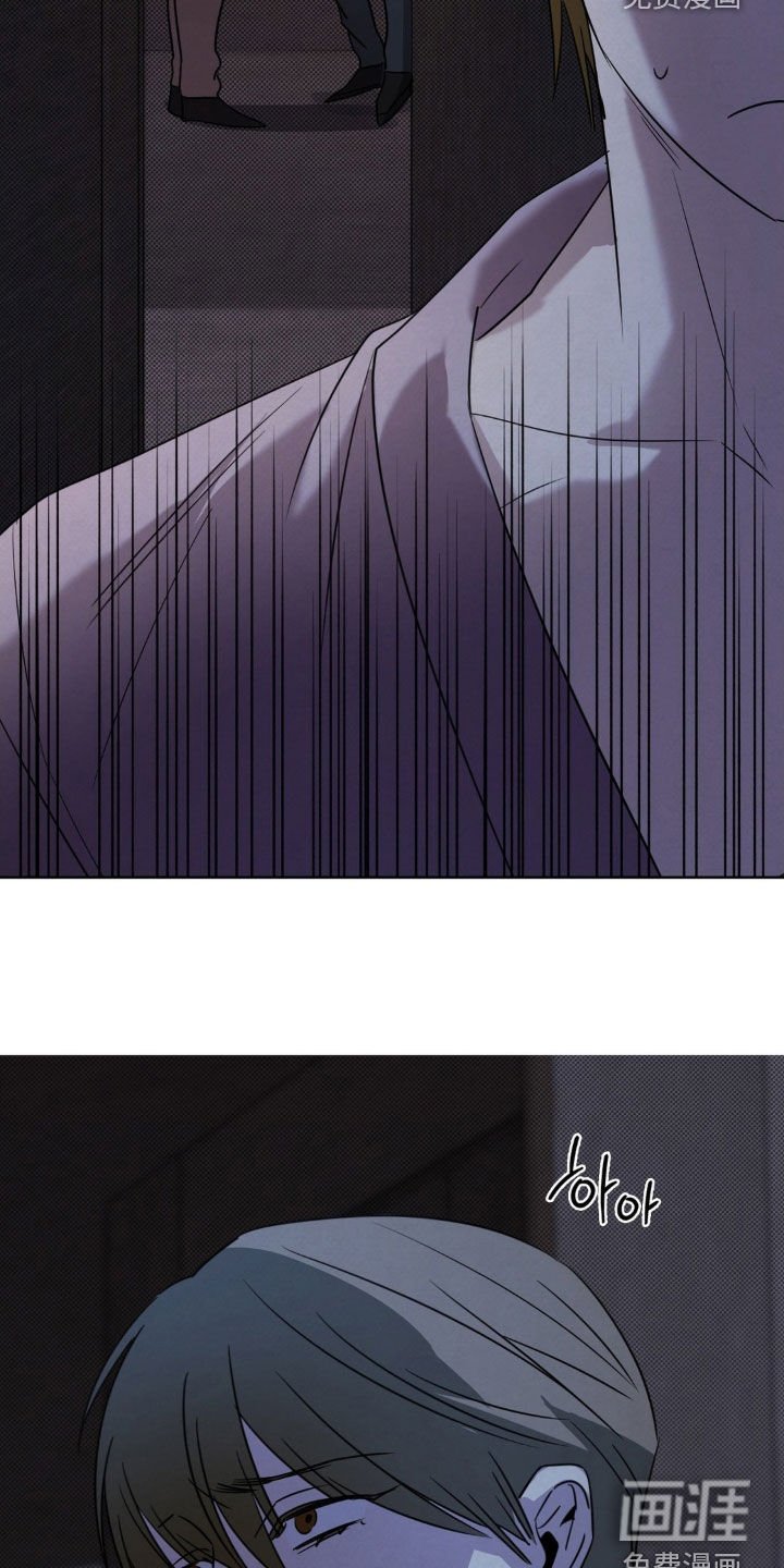 第45章：认清现实
