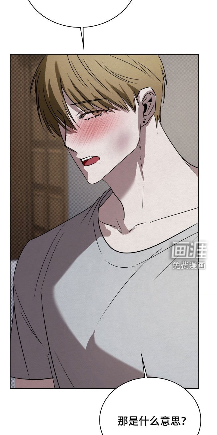 第49章：放弃展览