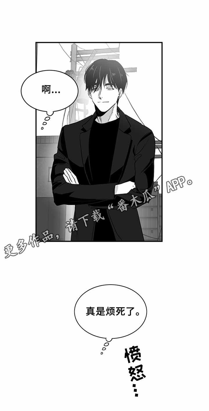 第6章：又恨又爱