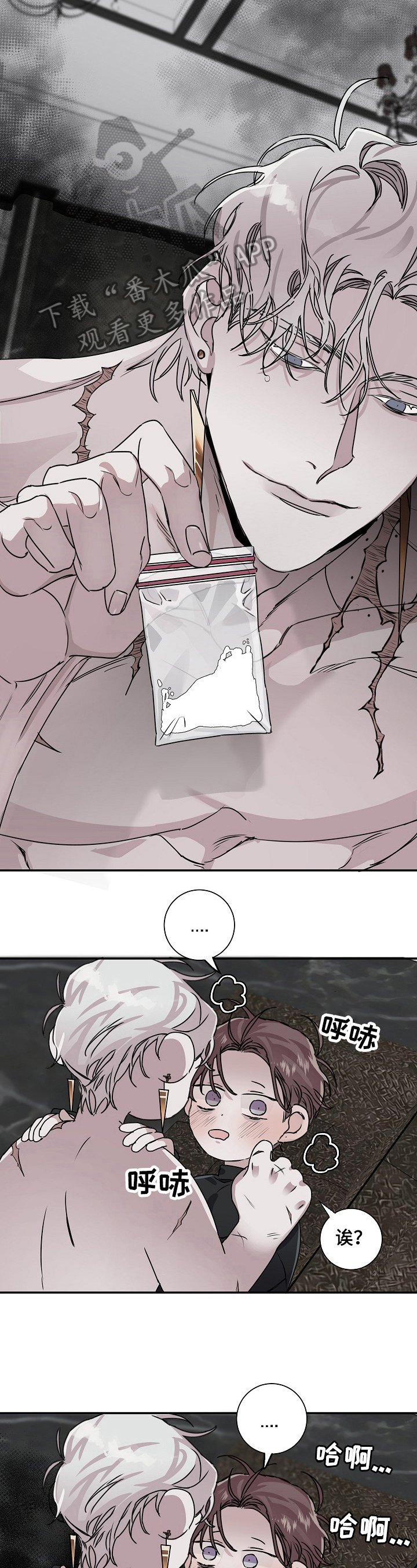 第15章：搜身
