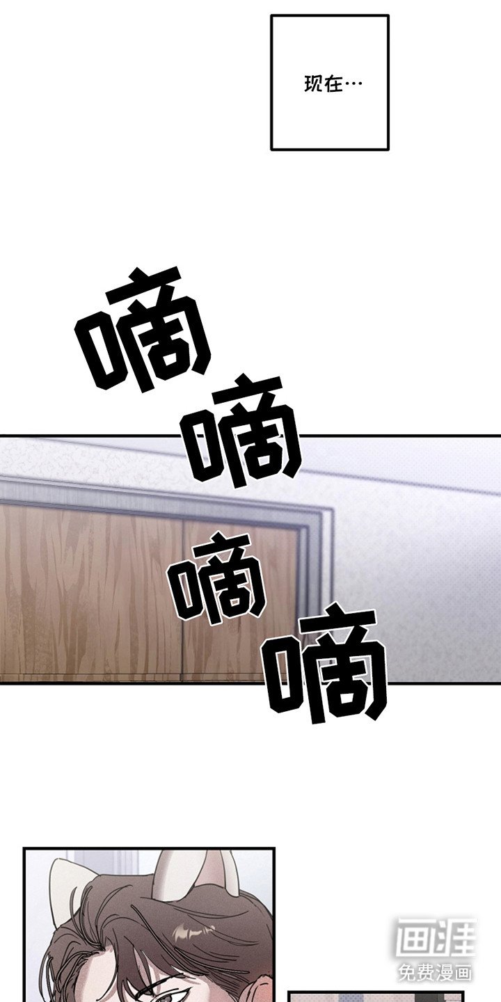 第28章：【第二季】猫咪装扮