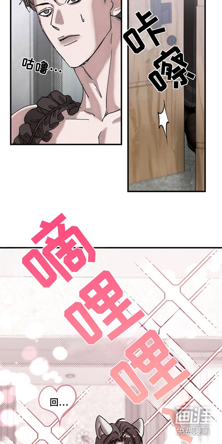 第28章：【第二季】猫咪装扮