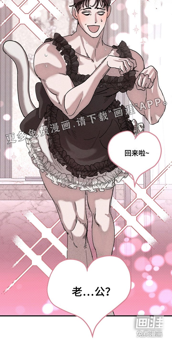 第28章：【第二季】猫咪装扮