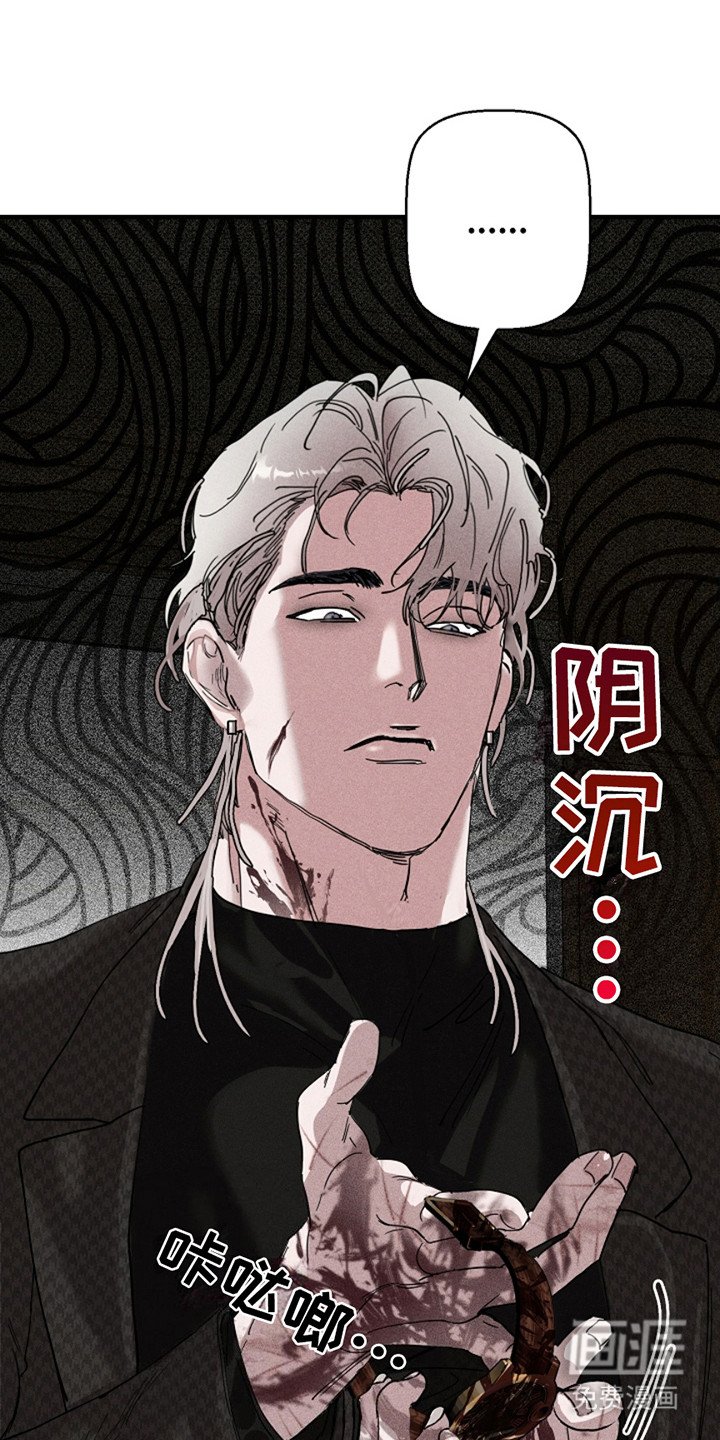 第28章：【第二季】猫咪装扮