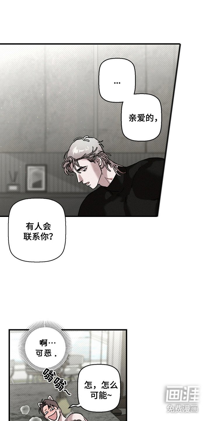 第28章：【第二季】猫咪装扮