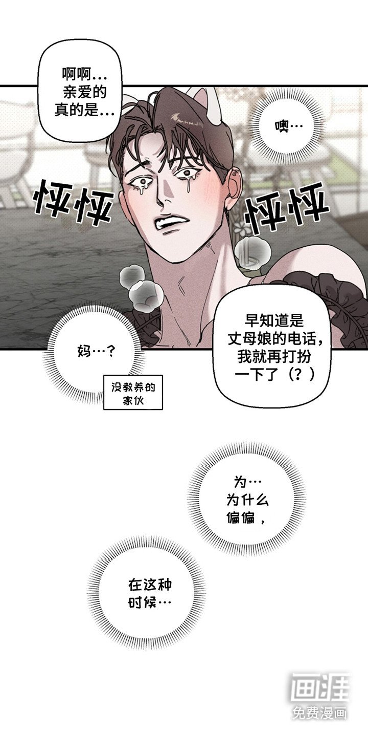 第28章：【第二季】猫咪装扮