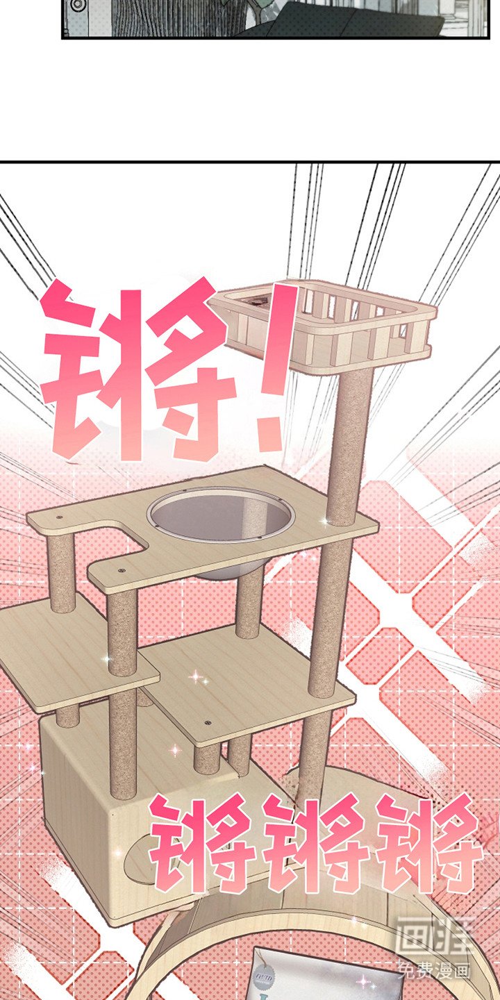 第29章：【第二季】小咚