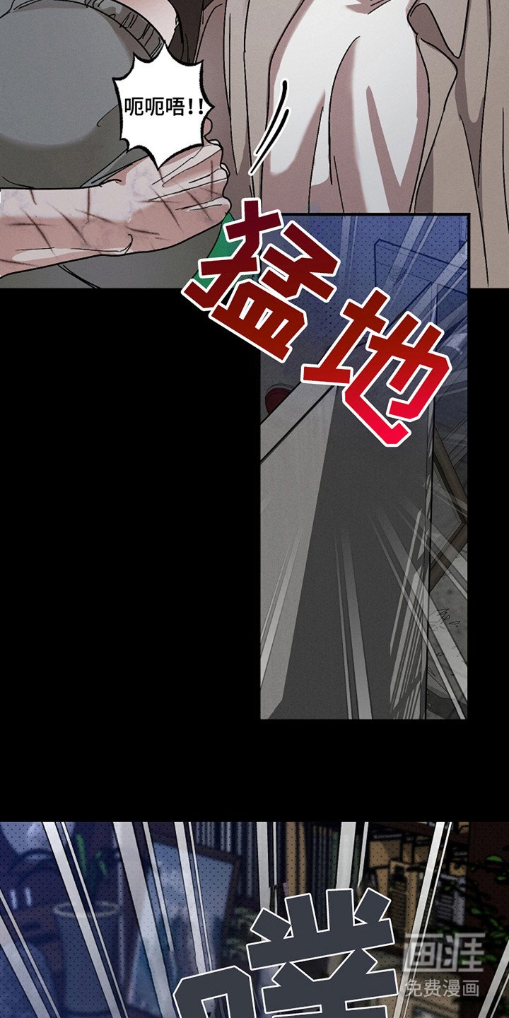 第32章：【第二季】表情包