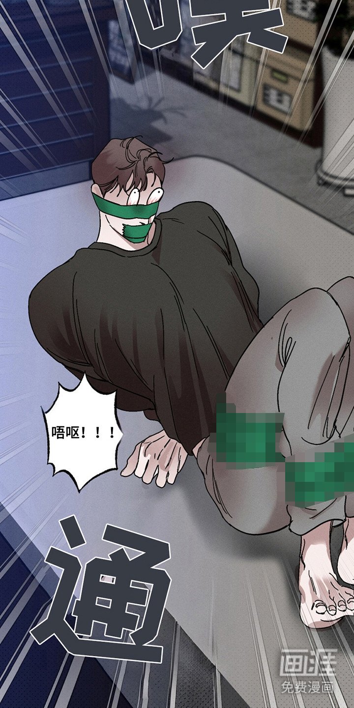 第32章：【第二季】表情包
