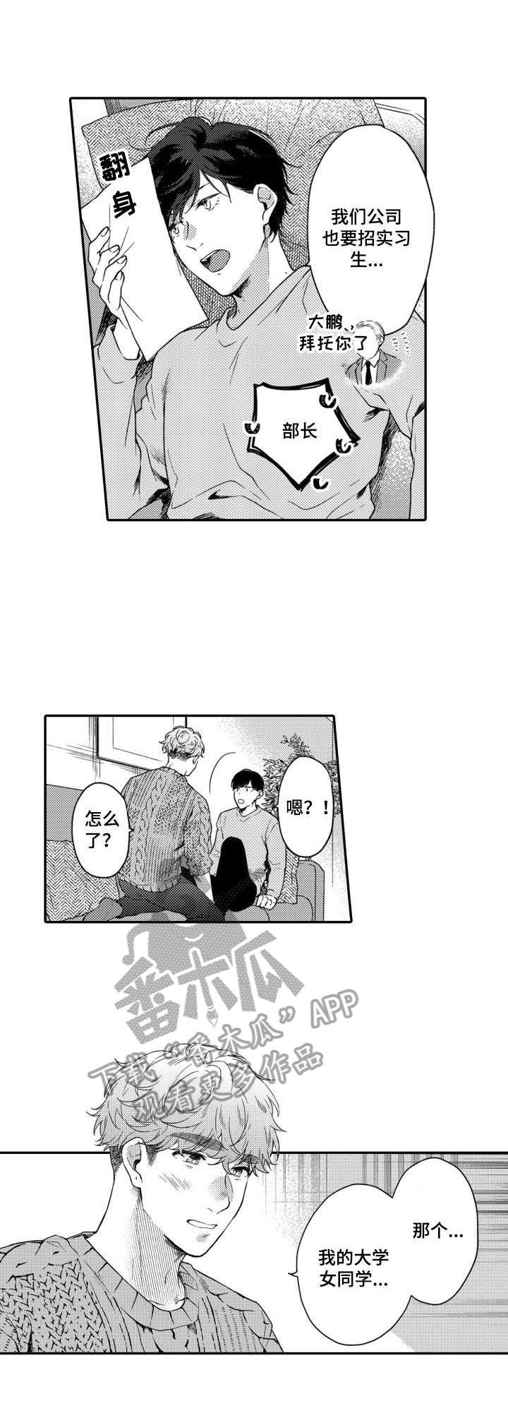 第15章：实习生