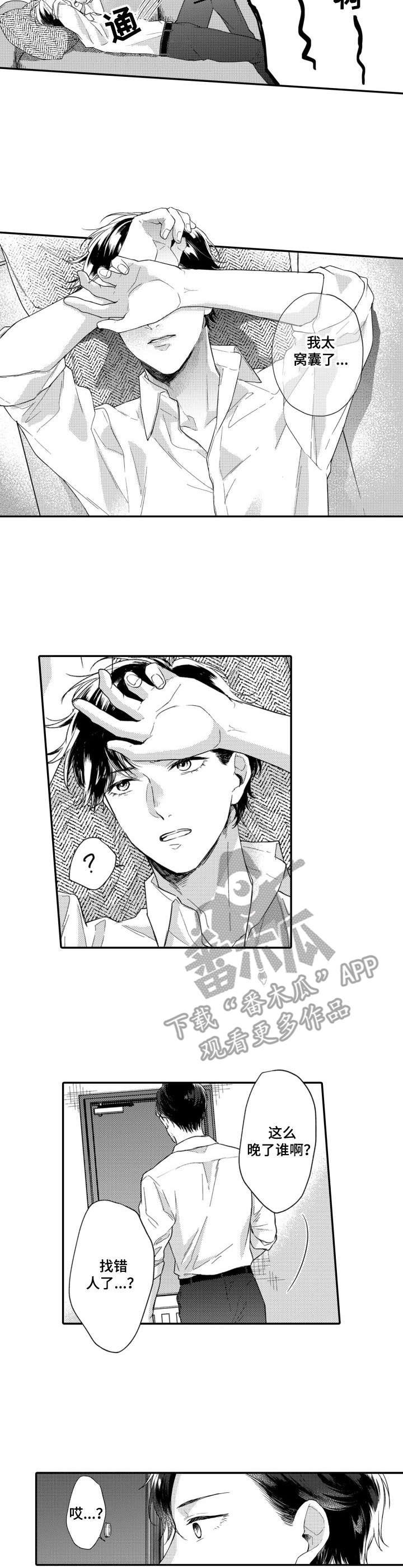 第26章：解释