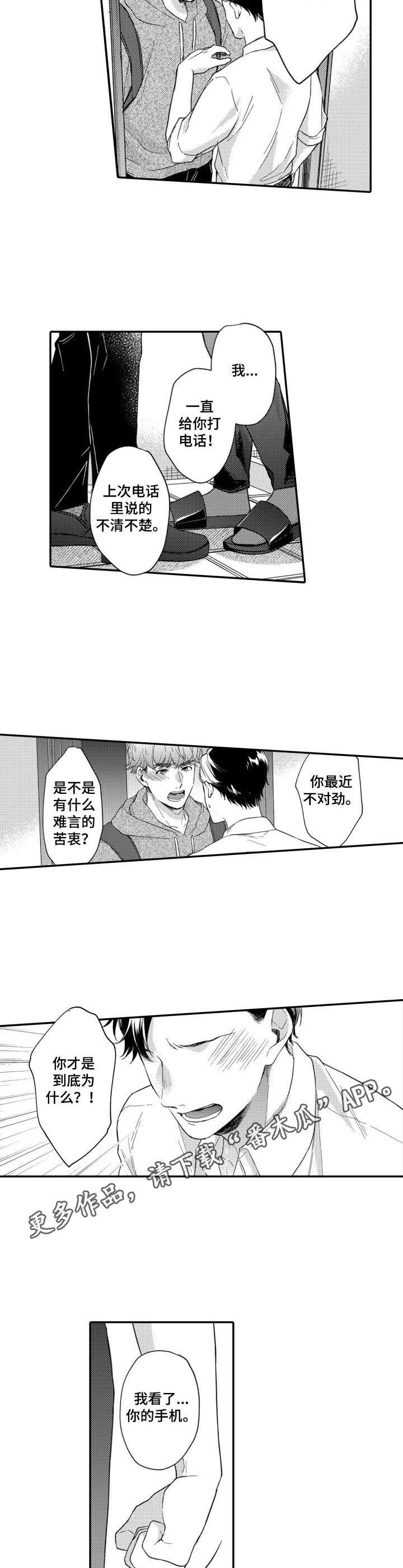 第26章：解释
