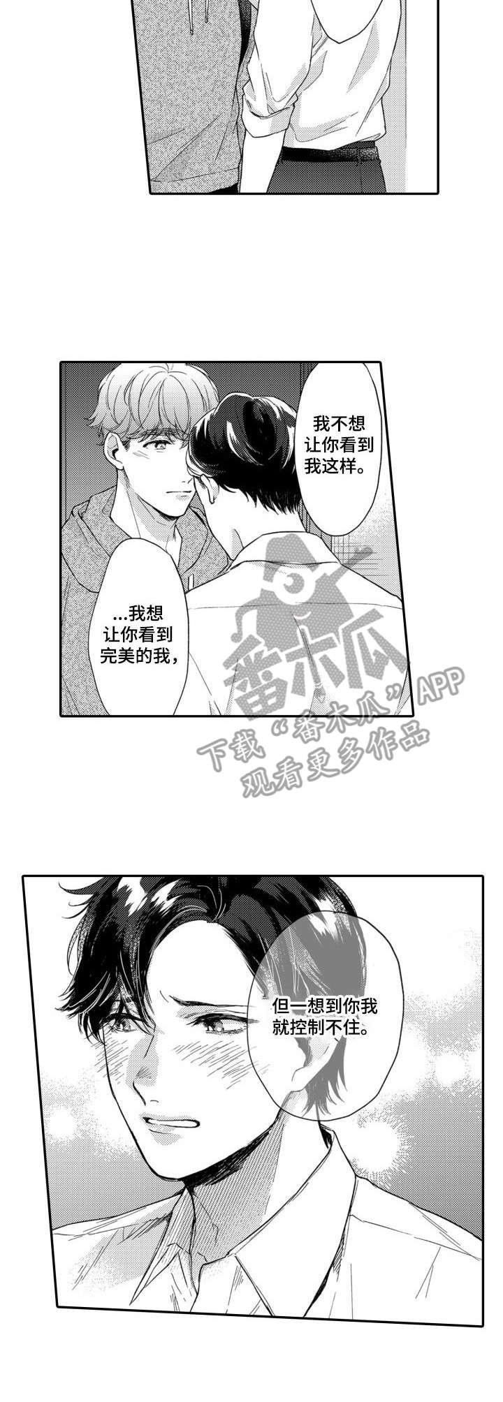 第26章：解释