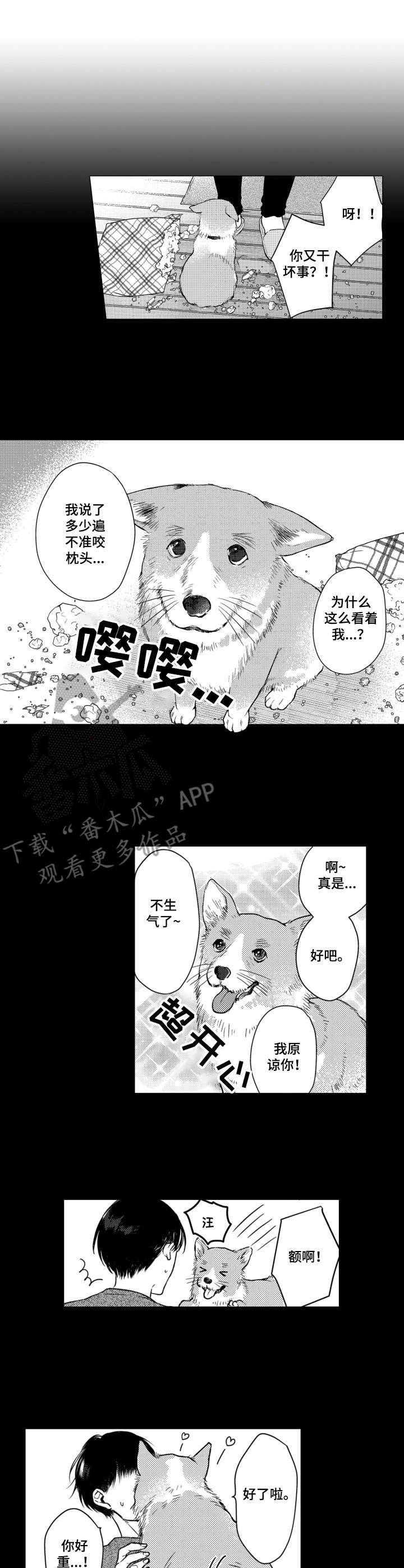 第7章：脑壳疼