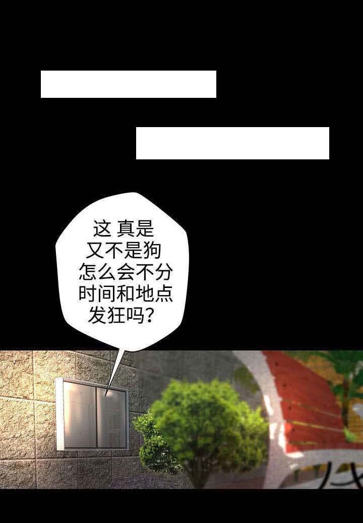 第13章：打扰